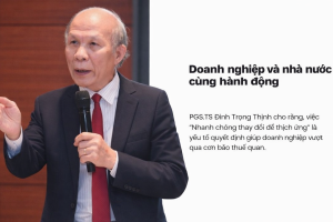 nông sản việt